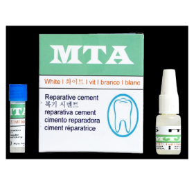 Navkar MTA – White Reparative Cement