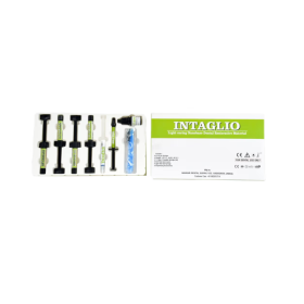 Navkar Dental Intaglio Composite Restorative Kit 