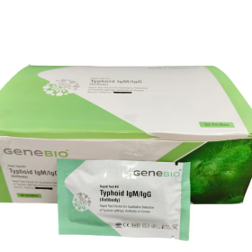 GeneBio Typhoid IgG/IgM-WB Rapid Test Kit (Pack of 50)
