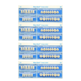 API Acrylic Teeth Sets - NewDent S14-B1 (Pack of 4 Sets)