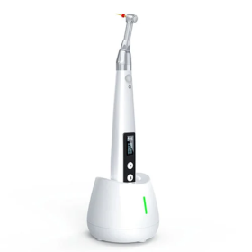 Woodpecker Ecom+ Endomotor