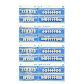 API Acrylic Teeth Sets - NewDent S13-A2 (Pack of 4 Sets)