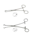 FORGESY BABCOCK FORCEP 8" AND ALLISE FORCEP 6" Tissue Forceps