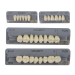 Vita MFT Denture Teeth O40-2M1 (Set of 28)
