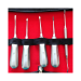 Veecare Surgical Extraction Instruments Set of 5