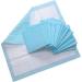 Dignity Mattey Disposable Underpads, 60x90 cm, 10 Pcs/Pack (for adults,Pack of 1)