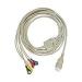 PHILIPS 8 PIN HP ECG PACK OF 2