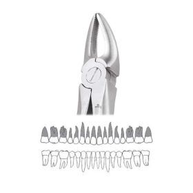 GDC Extraction Forceps Upper Roots - 30 Standard (FX30S)