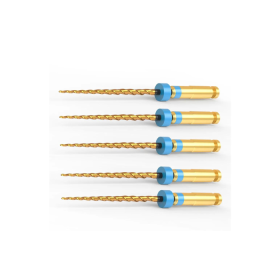 Micro Mega Retreat Retreatment Files 21mm - Assorted