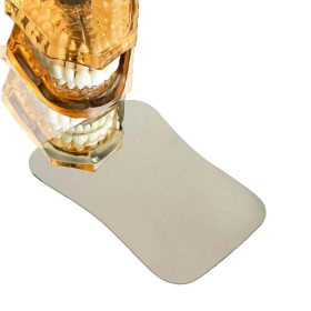 Waldent Wal-Vision P Photography Mirror Lingual 5.8 x 2 (30/102)