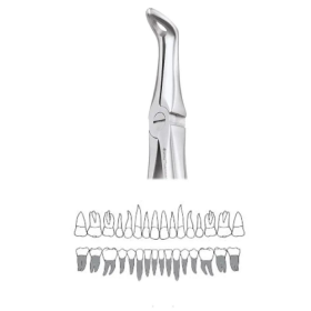 GDC Extraction Forceps Lower Roots Premium - (FX45P)