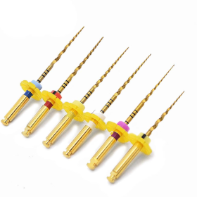 Healix Conmem Pro Gold NiTi Rotary Files - 21mm S1