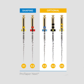 Dentsply ProTaper Next Refills NiTi Rotary Files - 25mm X2