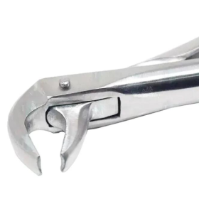 Waldent Tooth Extraction Forceps Lower Molars/Mandibulars, No.73 (1/110)