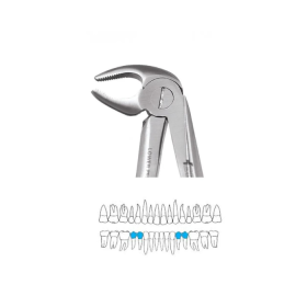 GDC Extraction Forceps Lower Premolars - 13 Ergonomic (Fx13e)