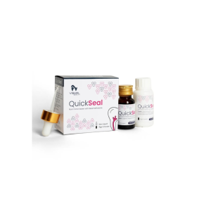 Vishal Dentocare Quick Seal Root Canal Sealant