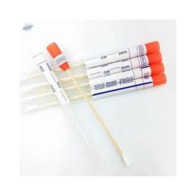 Recombigen Wooden Sterilized Swab Sticks In Plastic Tubes (Pack of 100 Pieces)