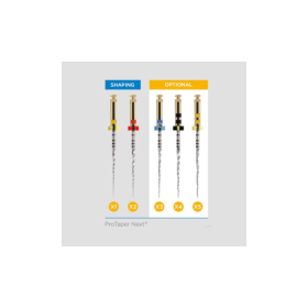 Dentsply ProTaper Next Assorted (X1-X3) NiTi Rotary Files - 21mm