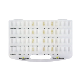 Kids -e- Dental First Molar Preformed Paediatric Crowns