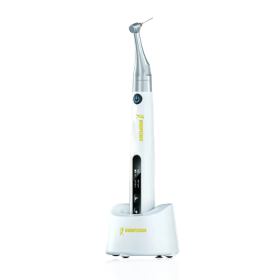 Woodpecker Endopace Endomotor
