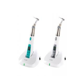 Endo S class Endomotor