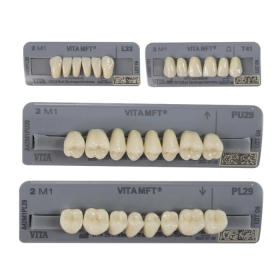 Vita MFT Denture Teeth 2M1 (Set of 28)