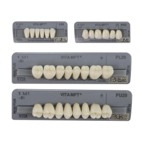 Vita MFT Denture Teeth 1M1 (Set of 28)