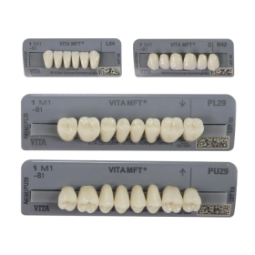 Vita MFT Denture Teeth O40-1M1 (Set of 28)