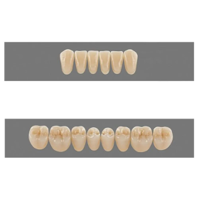 Vita MFT Denture Teeth A3 (Set of 28)