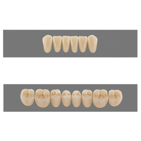 Vita MFT Denture Teeth O40-2M2 (Set of 28)