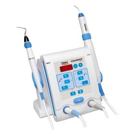 Dentsply Calamus Dual Obturation System Kit