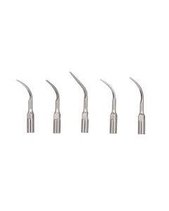 Scaler Tip G6 - Each