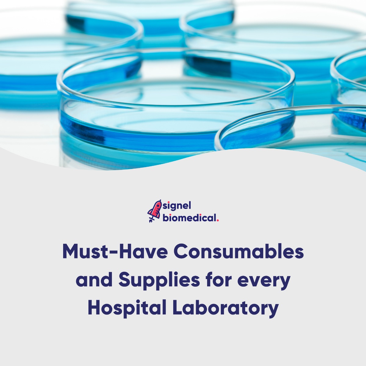 Commonly used lab consumables